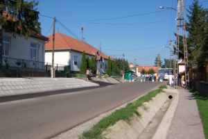 Falunap 2005.