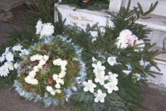 kep22_028